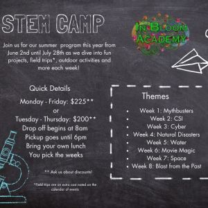 In Bloom Academy Summer Camp