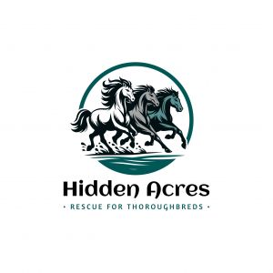 Hidden Acres Horsemanship Summer Camp