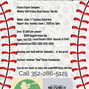 Summer Big League Baseball Camp