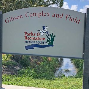 Gibson Complex and Field