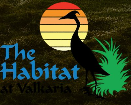 Golf Brevard Junior Golf Academy Summer Camp