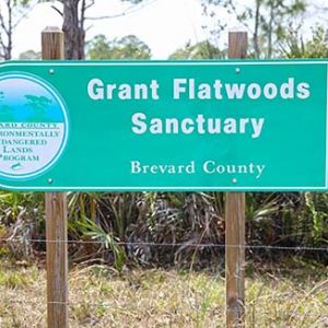 Grant Flatwoods Sanctuary