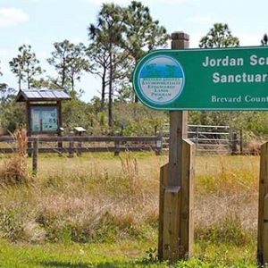 Jordan Scrub Sanctuary