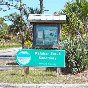 Malabar Scrub Sanctuary