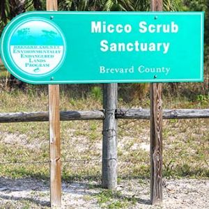 Micco Scrub Sanctuary