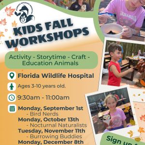 Florida Wildlife Hospital - Fall Kids Workshop