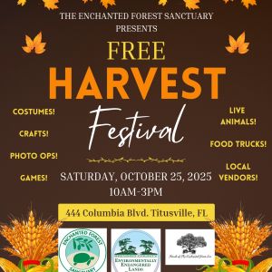 Harvest Festival at the Enchanted Forest