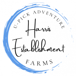 Harris Establishment Farms Fall Festival