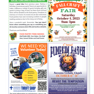 Ascension Catholic Church Pumpkin Patch