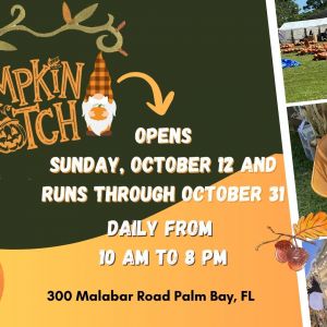 Our Lady of Grace Church Pumpkin Patch