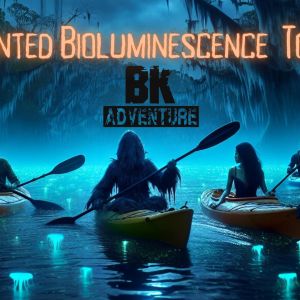 BK Adventure Haunted Bioluminescence Tour