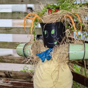 Rockledge Gardens Scarecrow Scavenger Hunt