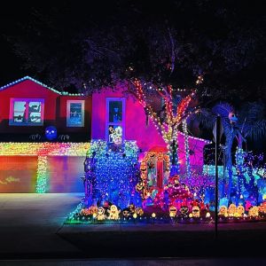 Dixon’s Halloween Light Show
