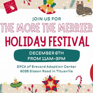 SPCA Brevard - The More The Merrier Holiday Festival