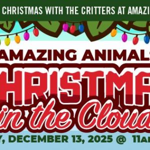 Christmas in the Cloud