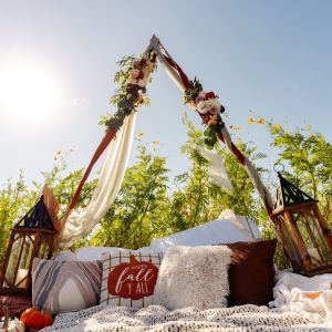 Pixel Groves: Fall & Christmas Mini Photo Sessions