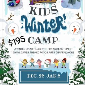 Treehouse Learning Academy Winter Camp