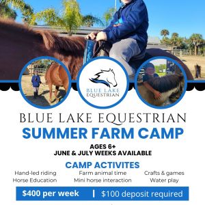 Blue Lake Equestrian: Horse Riding and Farm Animal Camp