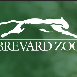 Brevard Zoo Overnight Camp - Field Research, Animal Behavior