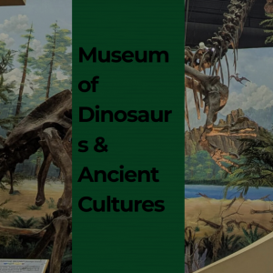 Museum of Dinosaurs and Ancient Cultures