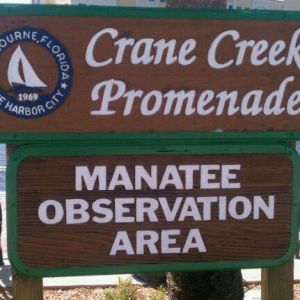 Crane Creek Promenade Manatee Observation Area
