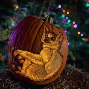 Brevard Zoo Halloween Birthday