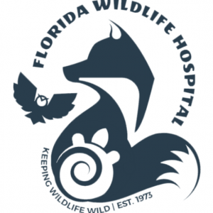 Florida Wildlife Hospital Workshops
