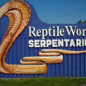 Reptile World Serpentarium