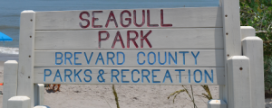 Seagull Park