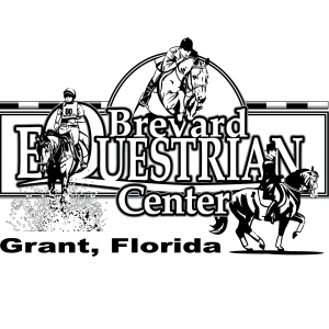 Brevard Equestrian Center: Summer Riding Programs