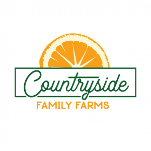 Countryside Citrus:  Strawberry Picking