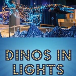Orlando Science Center Dinos In Lights