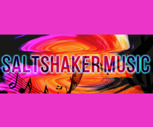Salt Shaker Music - Professional DJ and Games
