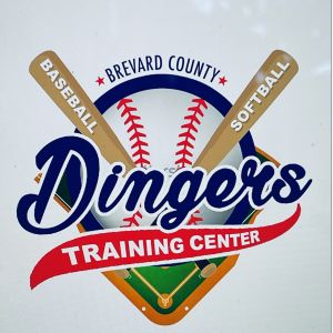Dingers Training Center Summer Camps