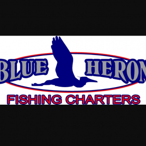 Blue Heron Fishing Charters:  Eco-Nature Tours