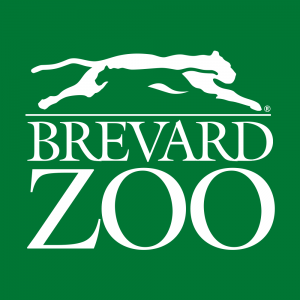 Brevard Zoo Winter Camps