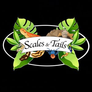 Scales & Tails