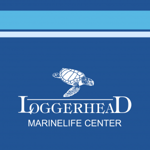 Martin County:  Loggerhead Marinelife Center